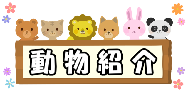 動物紹介